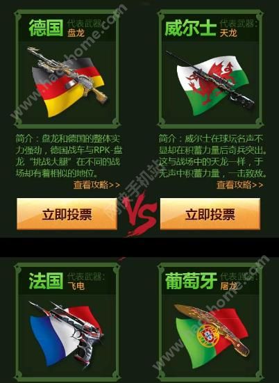 穿越火线枪战王者助威欧洲杯 投票送英雄武器活动地址[多图]图片2